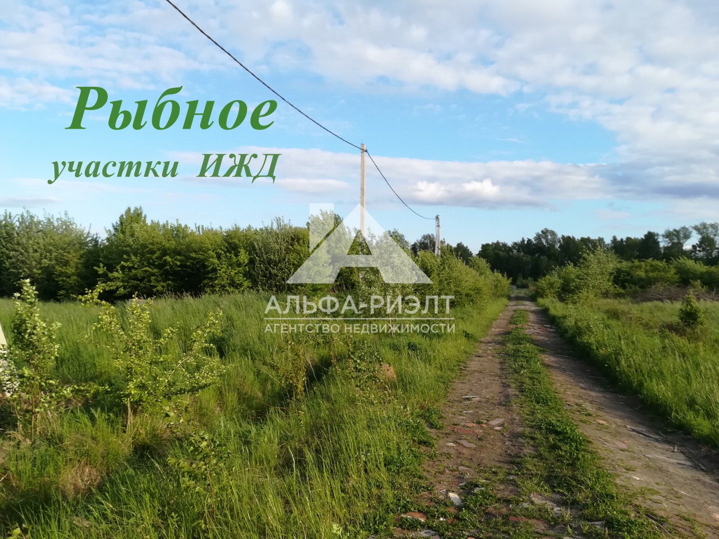 Участок рыбное. Участок рыбное